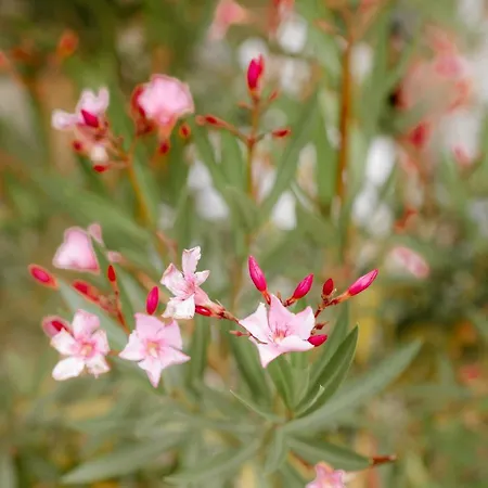 Herrenhaus Kunzwerda Bei - Aparthotel, Boardinghouse, Wohnen Auf Zeit Apartment