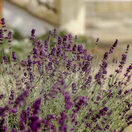 Apartment Herrenhaus Kunzwerda Bei - Aparthotel, Boardinghouse, Wohnen Auf Zeit 3*
